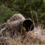 Caruba Coperta rete Mimetica 4x1,5 metri per caccia fotografica Marrone Canne