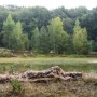 Caruba Coperta rete Mimetica 4x1,5 metri per caccia fotografica Marrone Canne