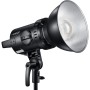 Godox H2400P Testa Flash per P2400