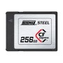 Hoodman scheda di memoria CF Express (Type B) CFEX256 Velocità 1700mb/s 1400mb/s