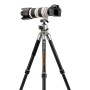 3 - Fotopro T1 Plus Treppiede in fibra di carbonio con testa a sfera capacità 20 Kg