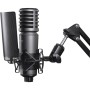 1 - Godox Large Diaphragm Cardioid Condenser Microphone XMic100GL