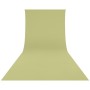1 - Westcott Wrinkle-Resistant Fondale Fotografico 2,7 x 6,1m Sfondo Muschio verde