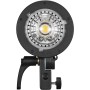 Godox QT600III M Flash da studio HSS Bowens 600W